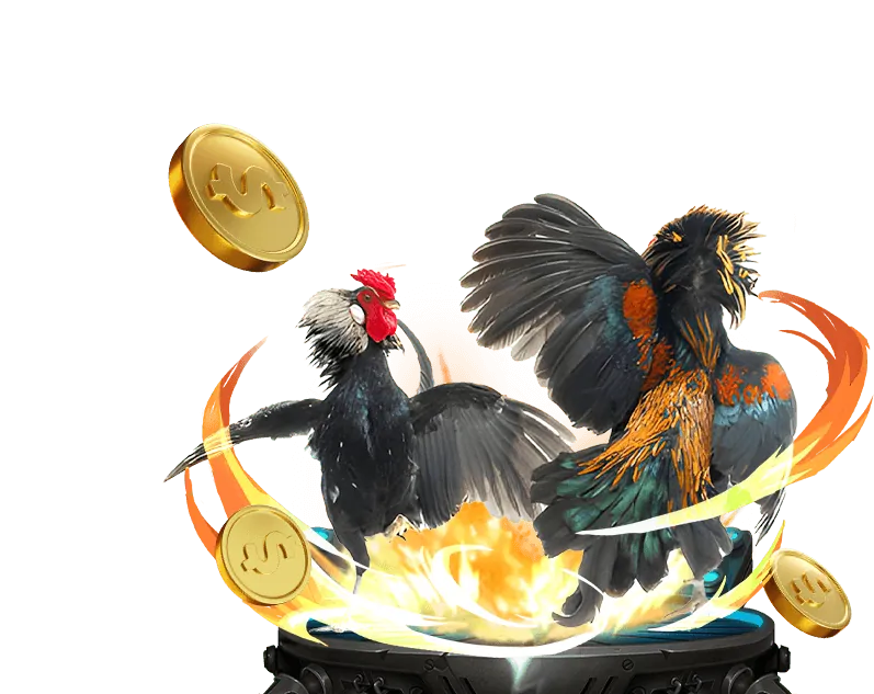 Đá gà trực tuyến trên JBO