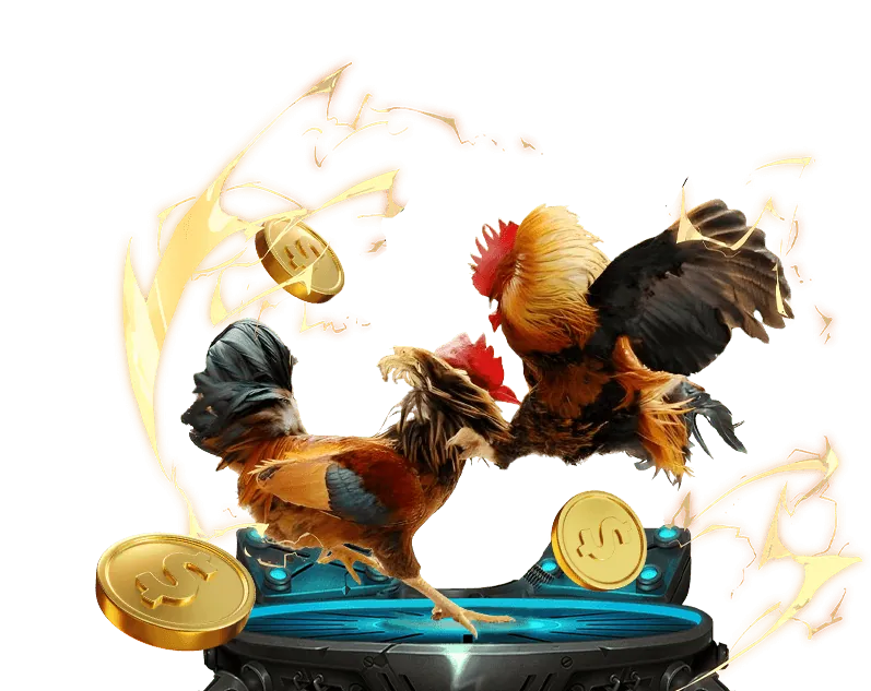 Gửi email hỗ trợ đến JBO Login